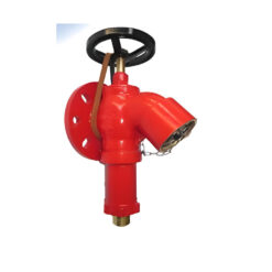 Landing Valves