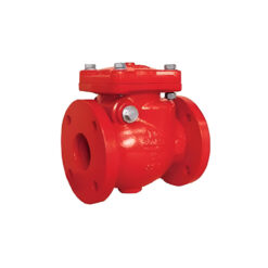Check Valve