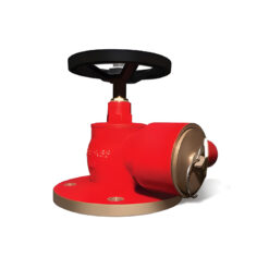 Landing Valves