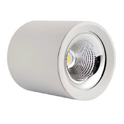 VERA Surface / Pendant Light