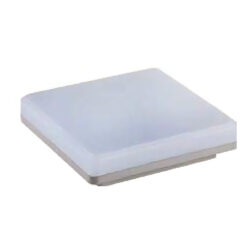LED Ceiling Light