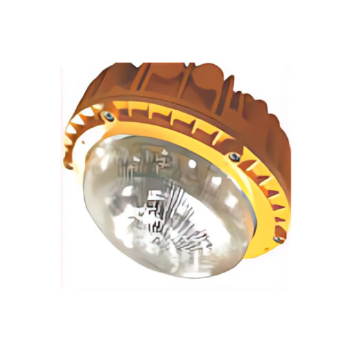 Explosion Proof Lighting Fixture - MARS-II