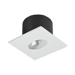 LED Niche Light