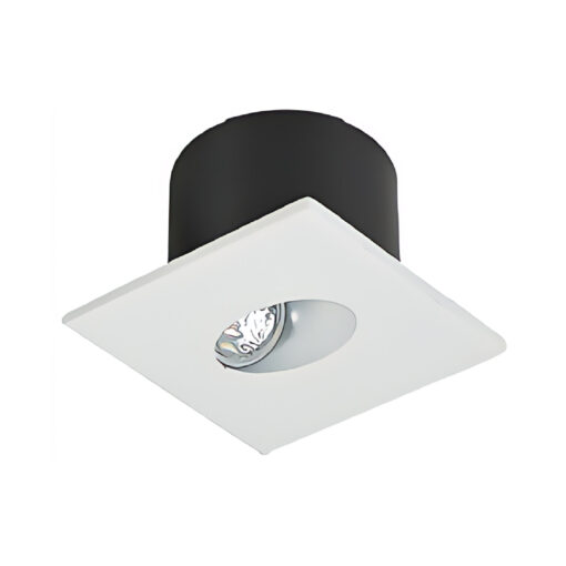 LED Niche Light