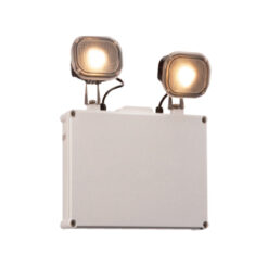 TWIN Emergency LED Light
