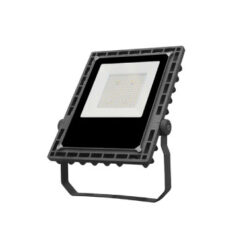 Outdoor Lights